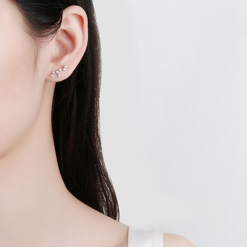 925 Sterling Silver Zodiac Screw Back Stud Earrings