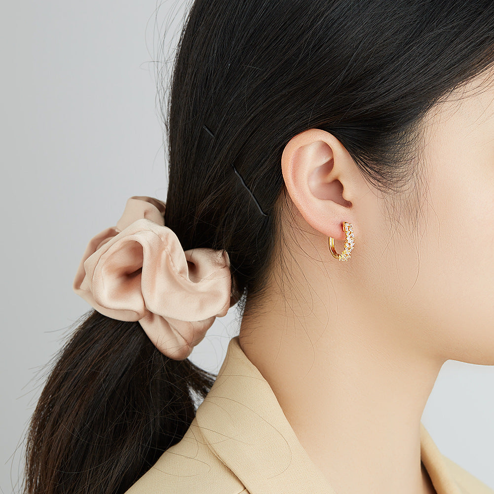 Brass With Plated Fashion Jewelry Earrings