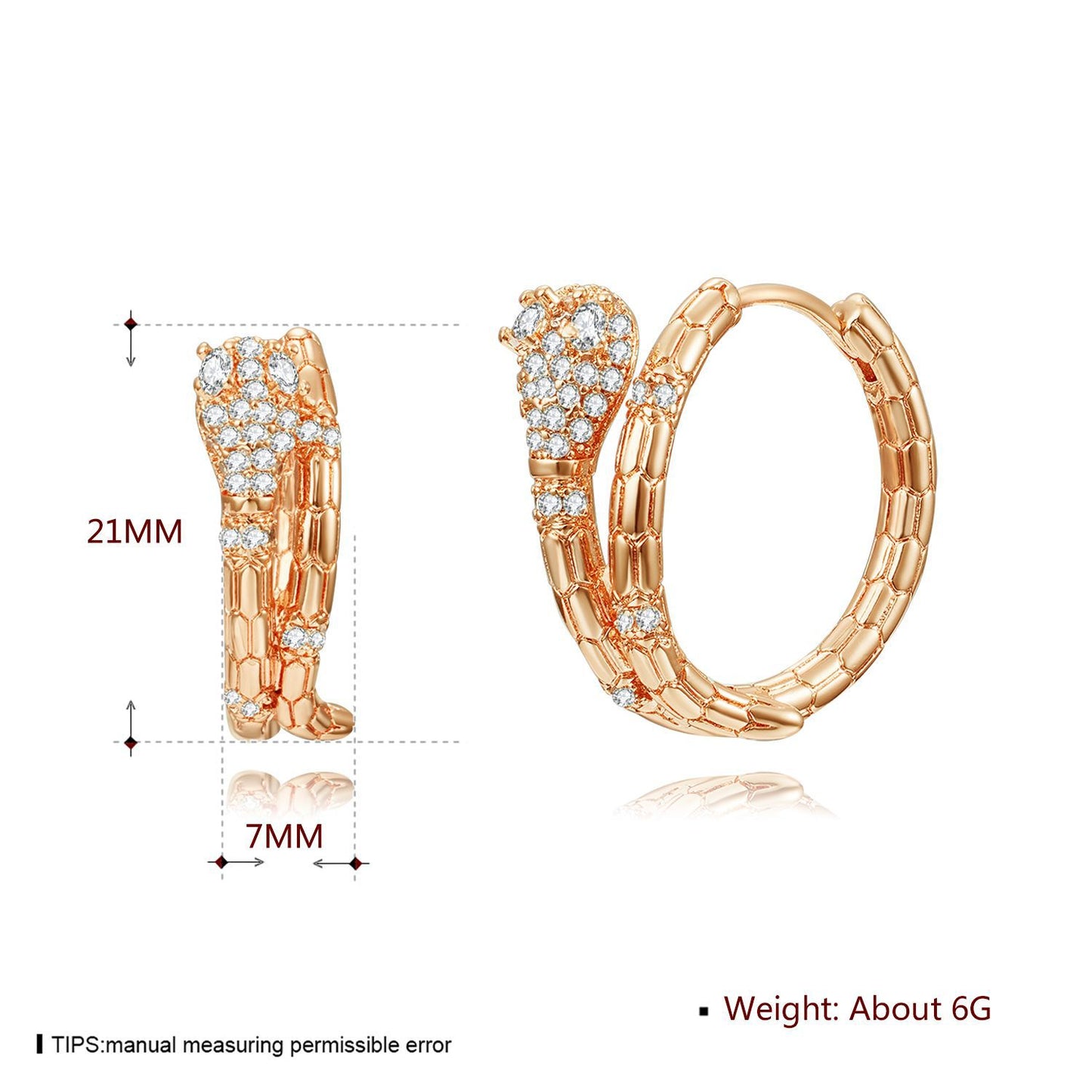 Brass With Plated Fashion Jewelry Earrings