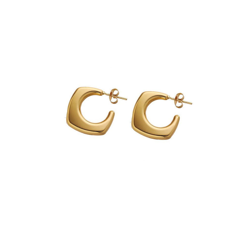 Stainless Steel Fashion Earrings