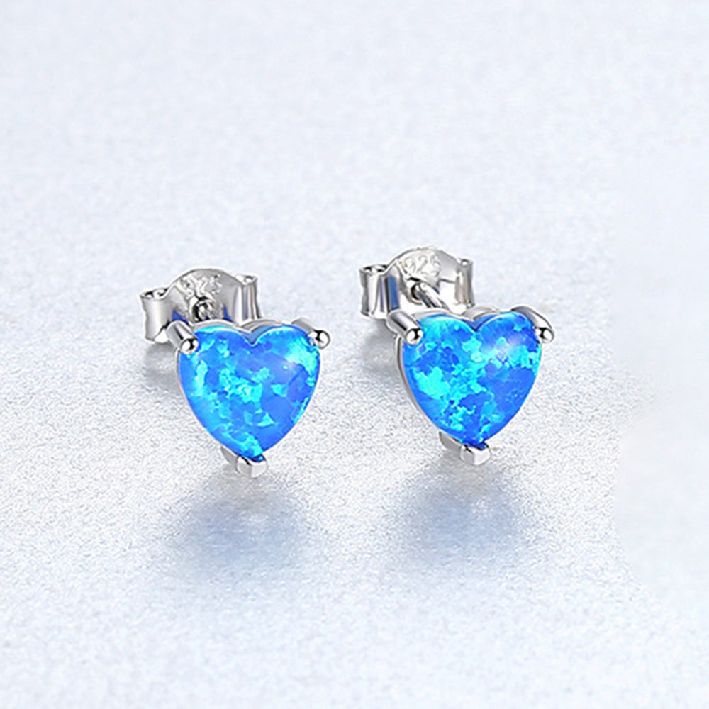 925 Sterling Silver Earrings Fashion Jewelry Gift for Women Girls