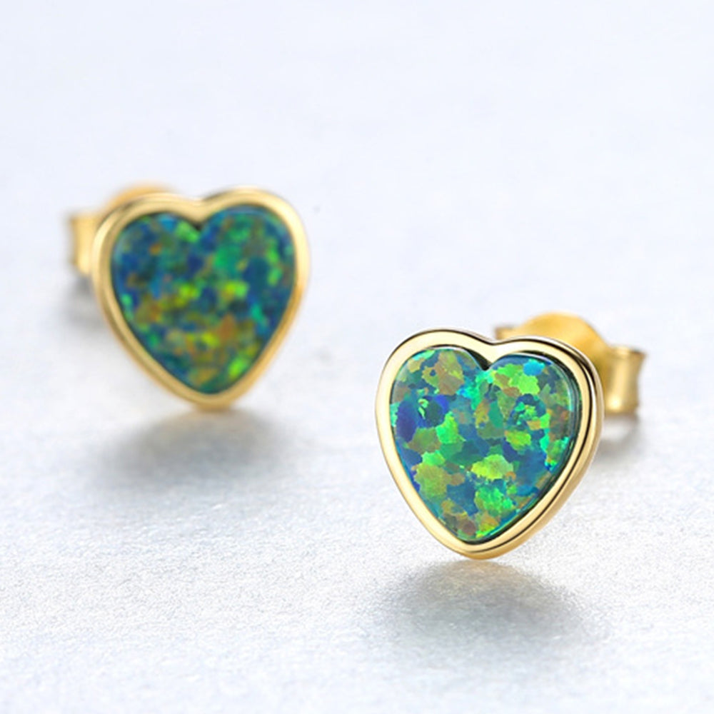 925 Sterling Silver Earrings Fashion Jewelry Gift for Women Girls