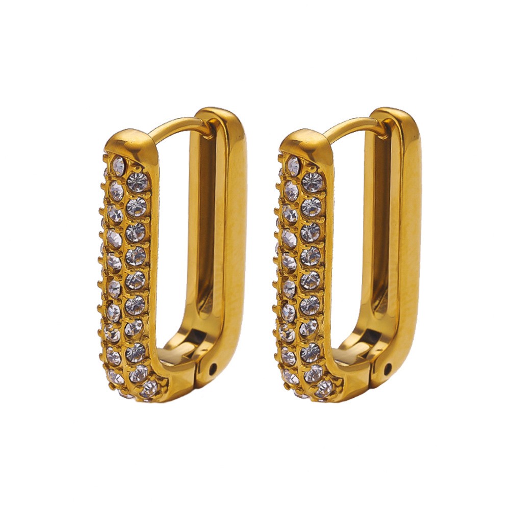 Stainless Steel Fashion Earrings