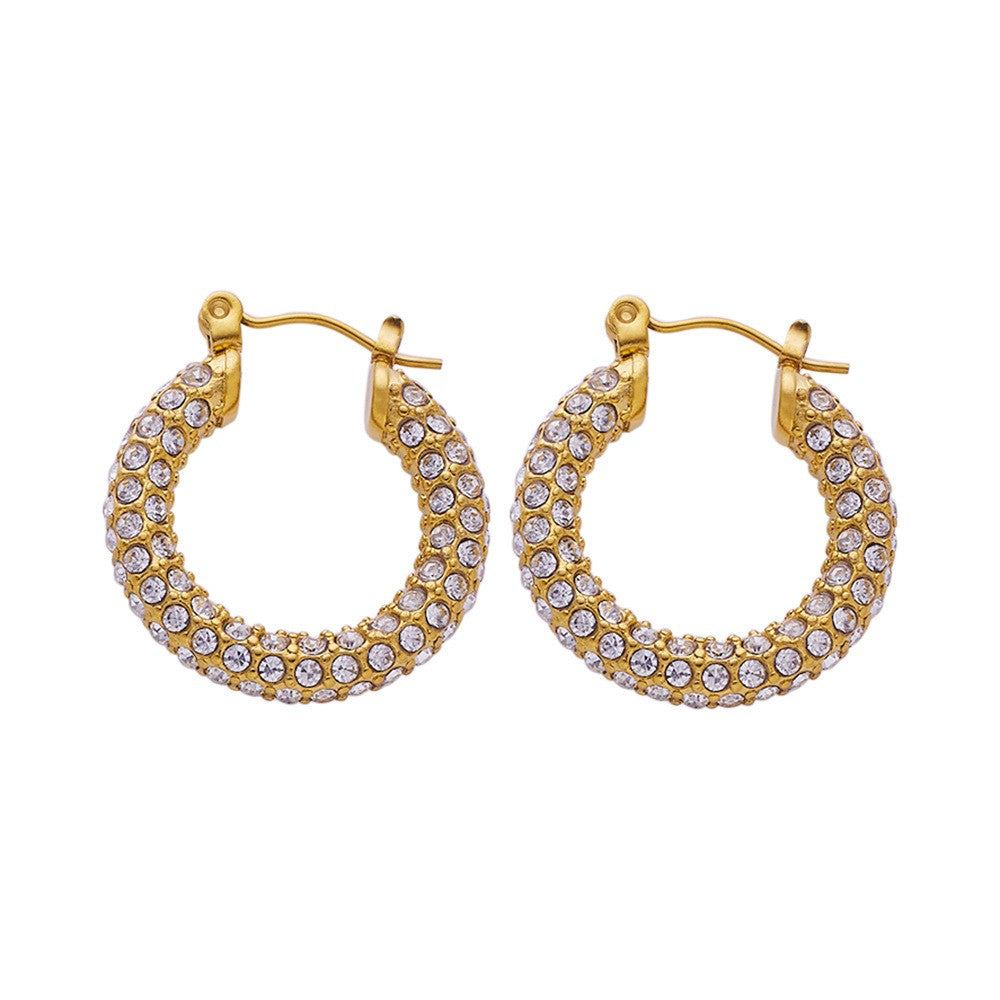 Stainless Steel Fashion Hoop Earrings