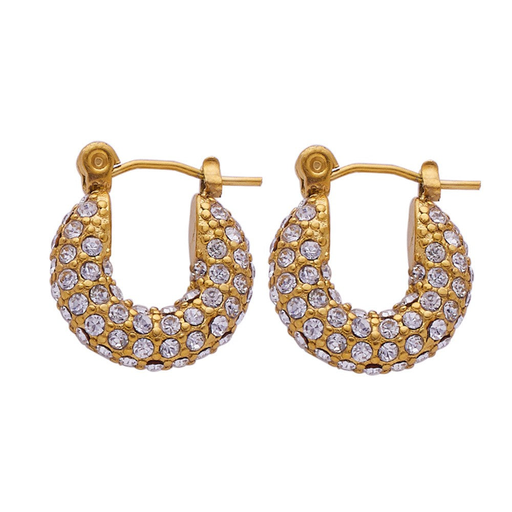 Stainless Steel Fashion Hoop Earrings