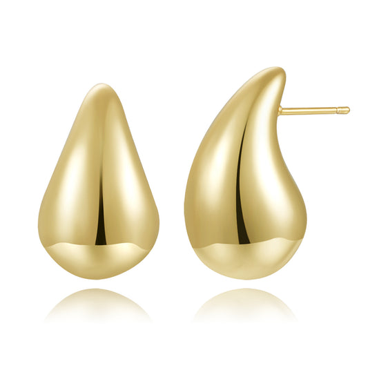 Brass With Plated Fashion Jewelry Earrings