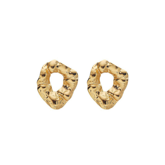 Stainless Steel Fashion Earrings