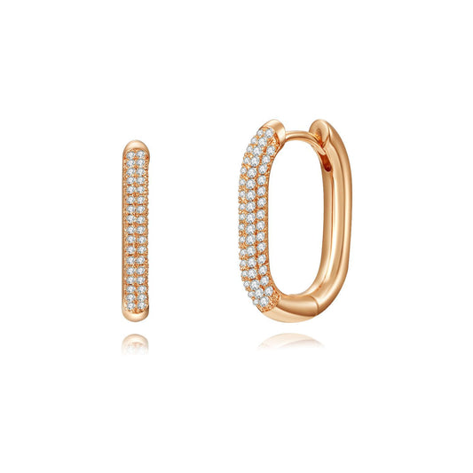 Brass With Plated Fashion Jewelry Earrings