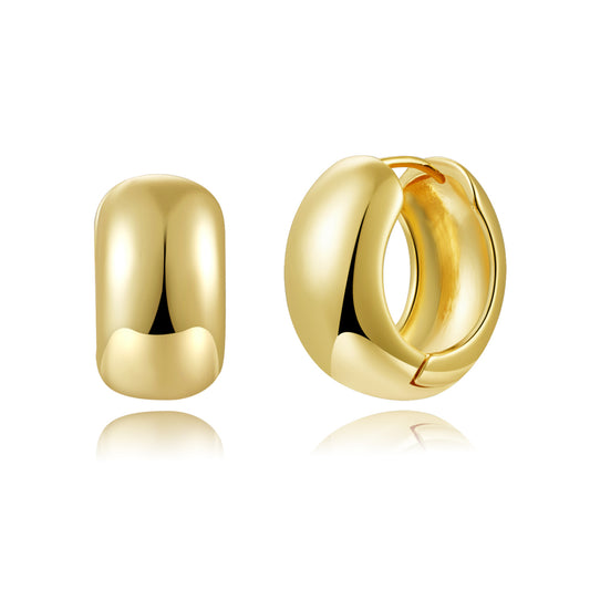 Brass With Plated Fashion Jewelry Earrings