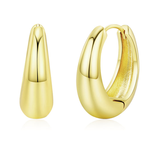 Brass With Plated Fashion Jewelry Earrings