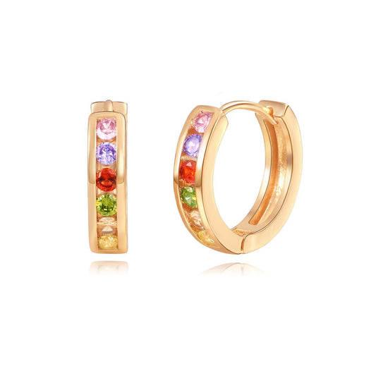 Brass With Plated Fashion Jewelry Earrings