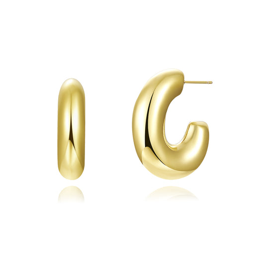Brass With Plated Fashion Jewelry Earrings