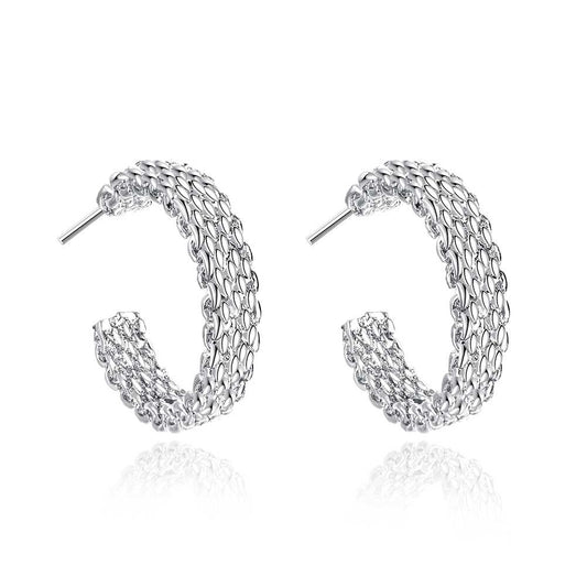 Brass With Plated Fashion Jewelry Earrings