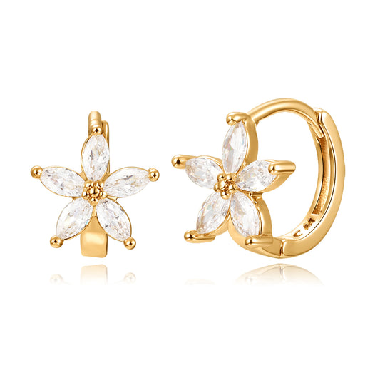 Brass With Plated Fashion Jewelry Earrings