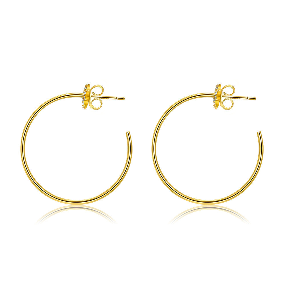 Brass With Plated Fashion Jewelry Earrings