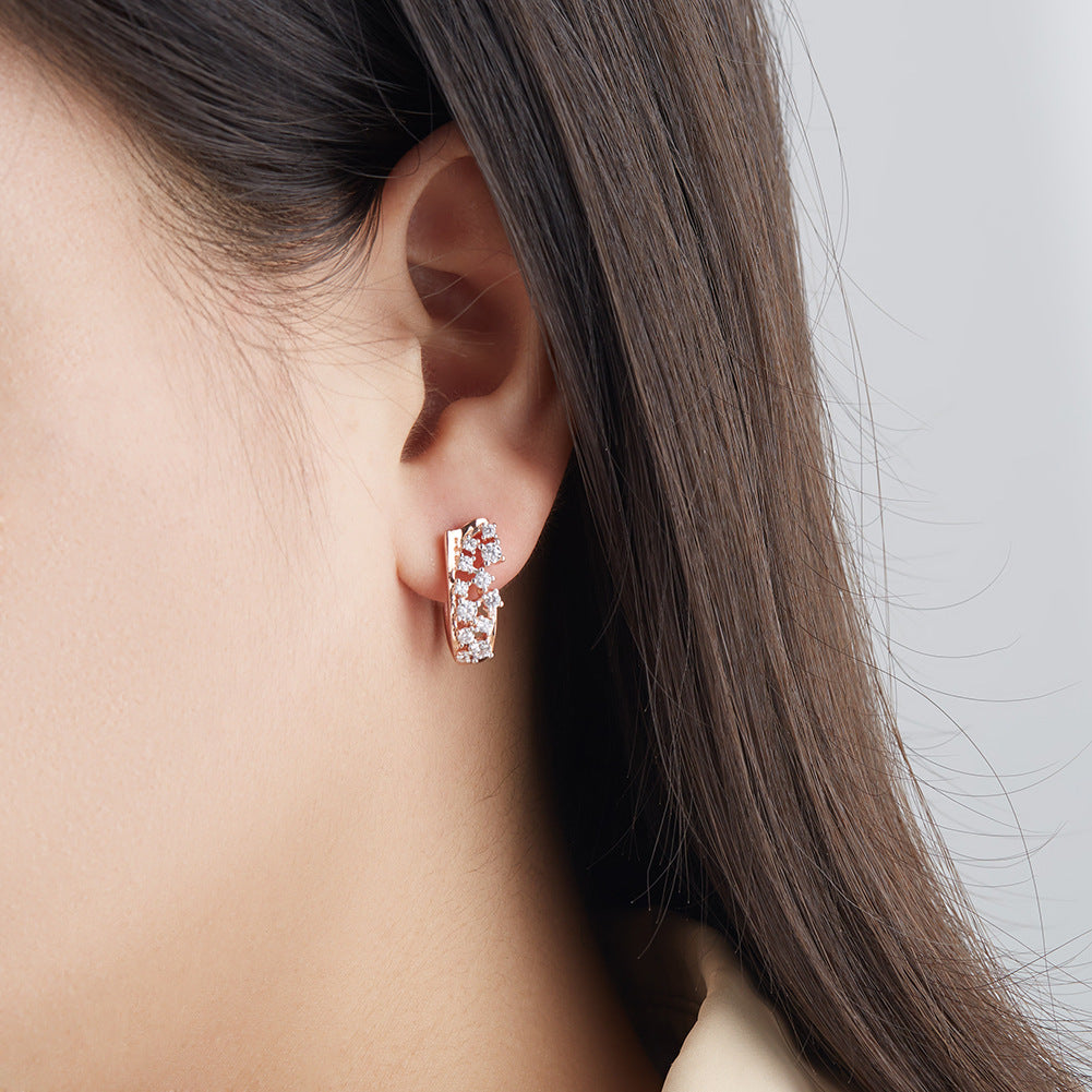 Brass With Plated Fashion Jewelry Earrings