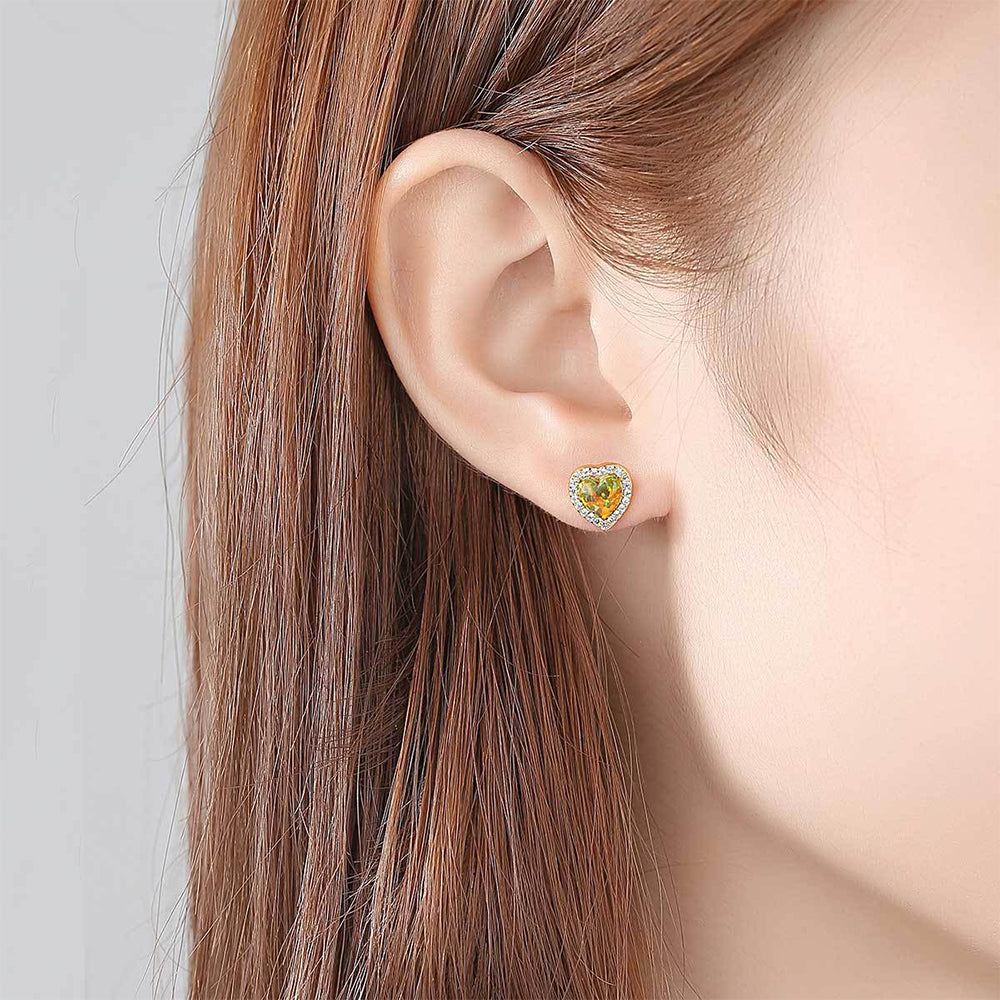 925 Sterling Silver Earrings Fashion Jewelry Gift for Women Girls