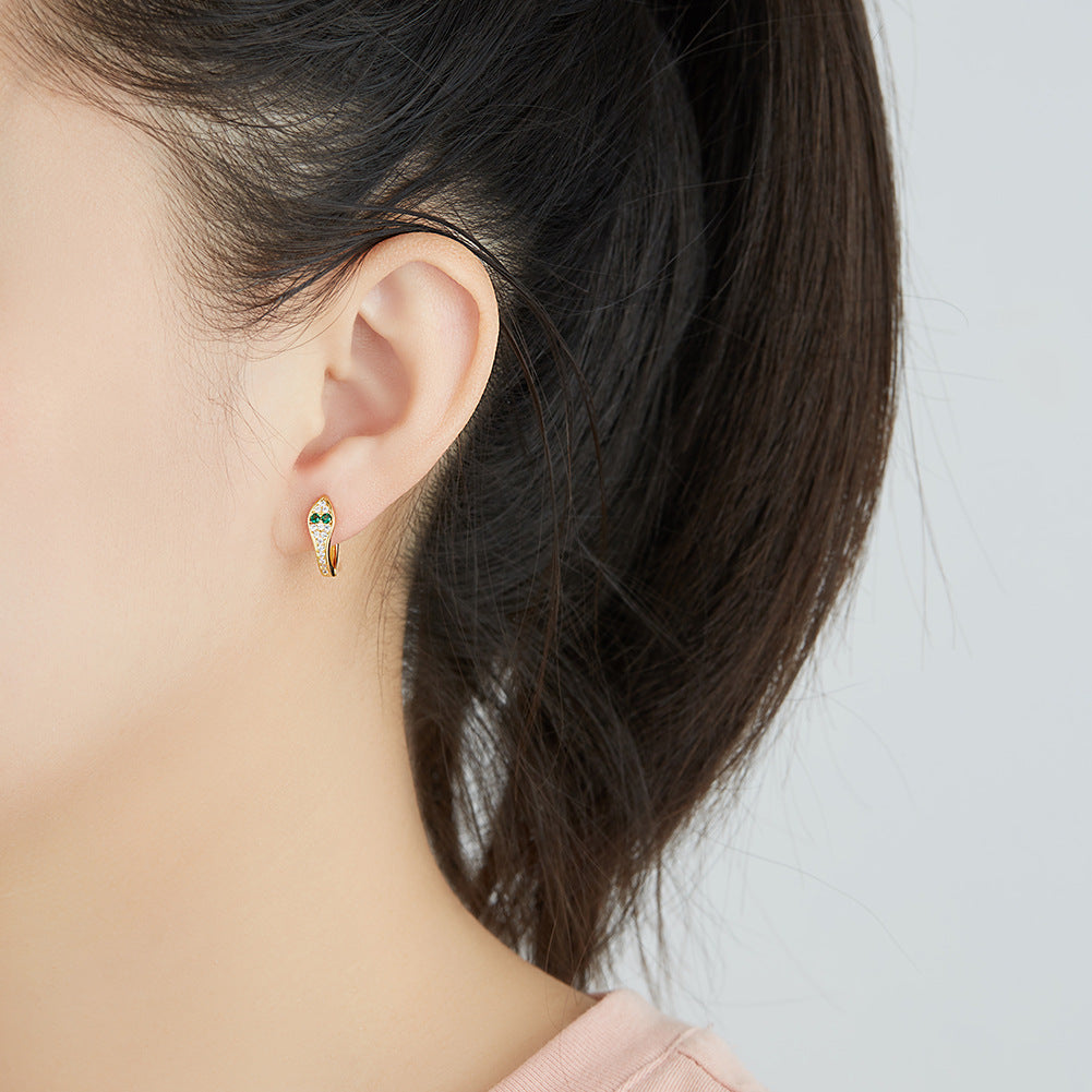 Brass With Plated Fashion Jewelry Earrings