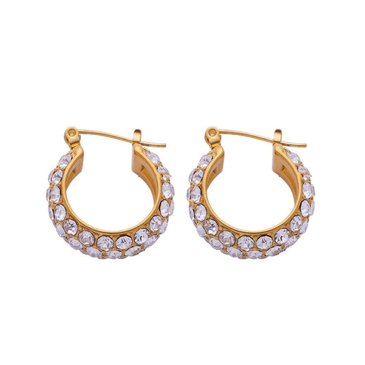 Stainless Steel Fashion Hoop Earrings