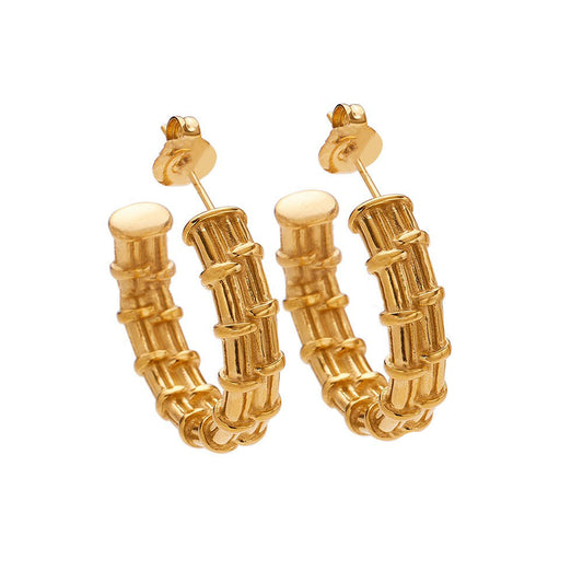 Stainless Steel Fashion Earrings