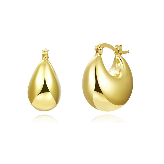 Brass With Plated Fashion Jewelry Earrings