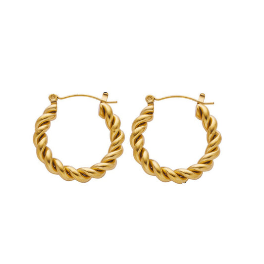 Stainless Steel Fashion Earrings