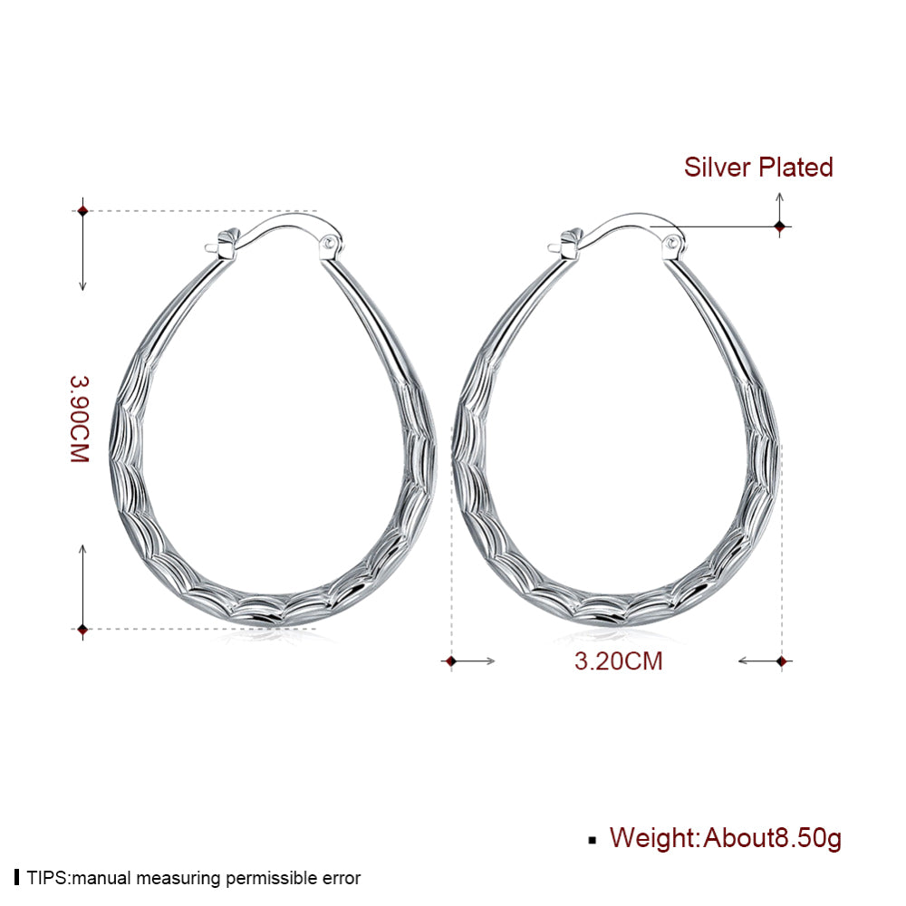 Brass With Plated Fashion Jewelry Earrings