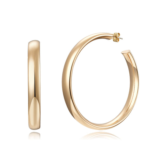 Brass With Plated Fashion Jewelry Earrings