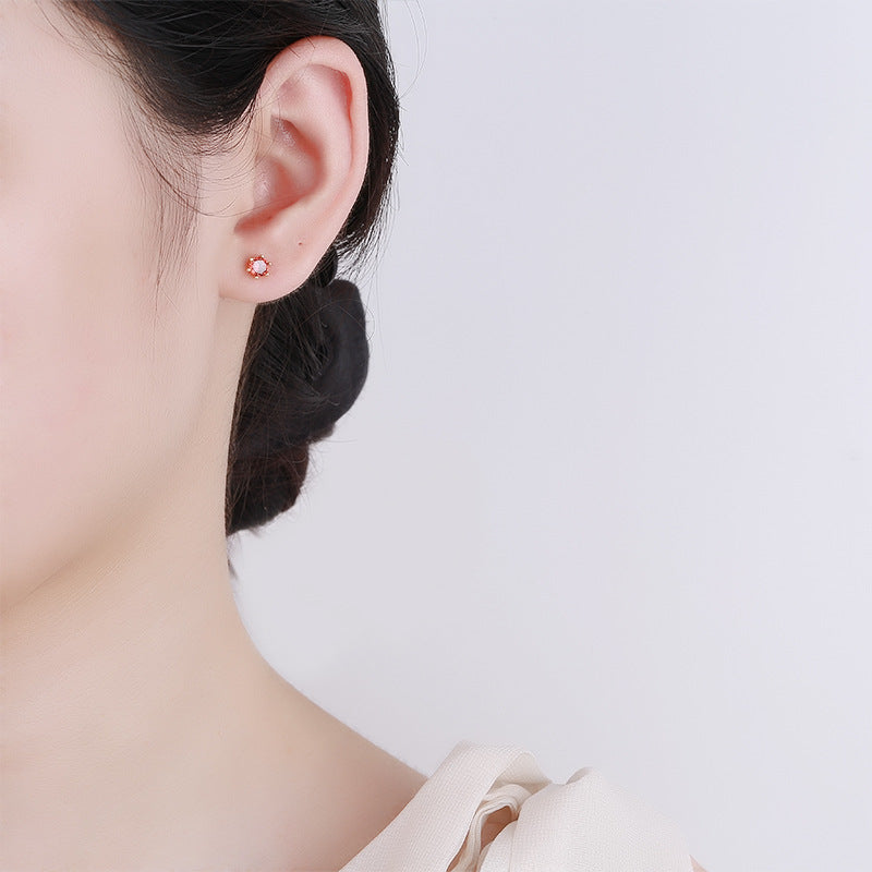 925 Sterling Silver Screwed Earrings