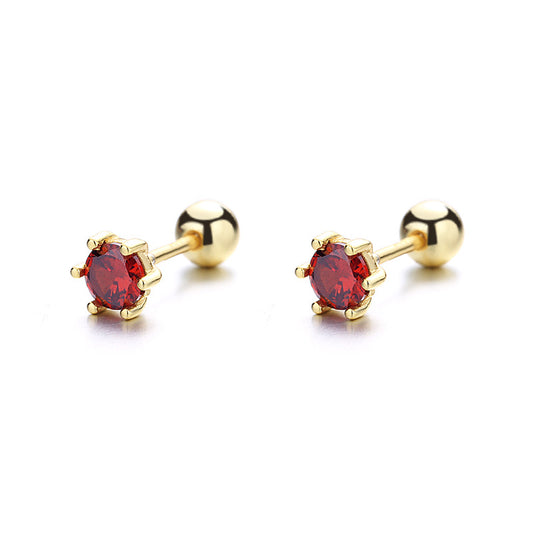 925 Sterling Silver Screwed Earrings