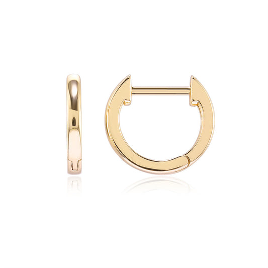 Brass With Plated Fashion Jewelry Earrings