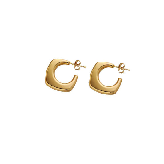 Stainless Steel Fashion Earrings