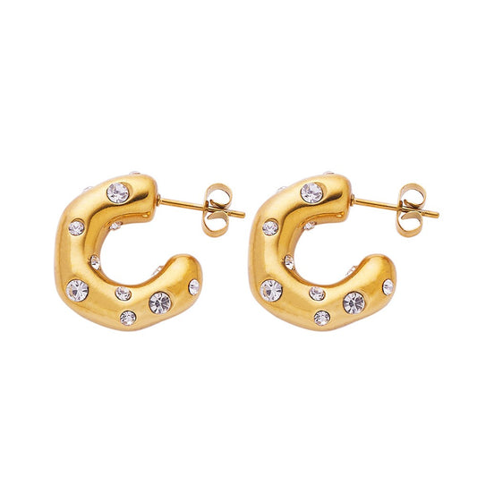 Stainless Steel Fashion Hoop Earrings